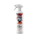 Clinex Scent - Wysoce skoncentrowany odwieacz powietrza, Tasmaski Czar - 500 ml