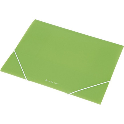 Teczka A4 z gumką EX4302 zielona transparentna 0410-0034-04 PANTA PLAST