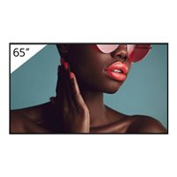 Sony 65" Professional BRAVIA LCD 700nit Haze display with up to 5 years PrimeSupport [Towar z magazynu zewn�trznego (na specjalne zam�wienie). Towar nie podlega zwrotowi. Czas oczekiwania do 5 dni roboczych.]
