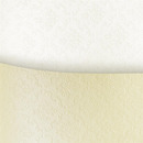 Karton wiz.A4 ORNAMENT bia�y 230g (20) 205103 Galeria Papieru