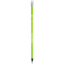 Ołówek grafitowy 2B z gumką czarne drewno 206120016 ASTRA