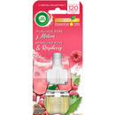 AIR WICK od�wie�acz Elektryczny Musuj�ca Rose z Malin� wk�ad 19 ml 05635
