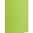 Karton kolorowy Oxford B2 225g 25ark nr.66 j.zielony 400150337 TOP-2000