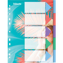 Przek�adki Colour`Breeze PP A4 5 przek�adek 628498 ESSELTE