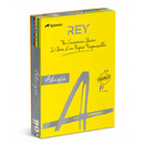 Papier ksero REY ADAGIO, A4, 80gsm, mix kolorów intens, *RYADA080X906 R200, 5x100 ark.