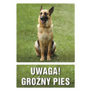 Znak TDC, Uwaga gro�ny pies
