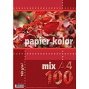 Papier ksero A4 160g KRESKA mix kolorów 100ark