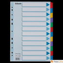 Przekładki, kolorowy karton, karta opisowa Mylar A4, Esselte, 12 kart, 100169