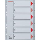 Przek�adki plastikowe szare PP A4 1-6 numeryczne 100104 ESSELTE