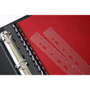 Wpinki do segregatora dziurkowane Zawieszki (100) ARGO 422031