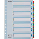 Przekładki kartonowe MYLAR A4 1-31 białe 100164 ESSELTE