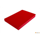 Karton DELTA sk&oacute;ropodobny czerwony A4 DOTTS 100 szt. ok�adki do bindowania