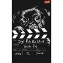 Zeszyt A5 60k kratka mix ch�opi�cy 2 laminowany UNIPAP