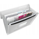 Teczka z przegr&oacute;dkami ESSELTE VIVIDA bia�a 624018