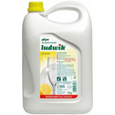Pyn do naczy LUDWIK 5L cytrynowy