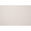 Karton wizyt&oacute;wkowy A4 W47 siateczka ecrui (20 arkuszy) 246g KRESKA 941 SALE