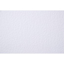 Karton wizyt&oacute;wkowy A4 246g (20 arkuszy) KRESKA W03 baran