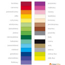 Brystol A1 (20 arkuszy) brązowy KRESKA