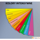 Papier xero A4 160g c.ziele� xem416052 EMERSON 250ark