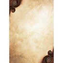 Dyplom A4 ADAGIO 170g (25ark) 216417 GALERIA PAPIERU