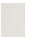 Karton wizyt&oacute;wkowy A4 W02 p�&oacute;tno bia�y (20 arkuszy) 246g KRESKA