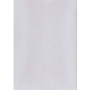 Karton wizyt&oacute;wkowy A4 t�oczony srebry W52 (10) KRESKA 215g