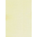 Karton wizyt&oacute;wkowy A4 246g KRESKA (20 arkuszy) W41 kratka ecrue