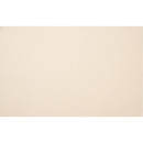 Karton wizyt&oacute;wkowy A4 t�oczony kremowy 200g. (20ark.) W19 KRESKA