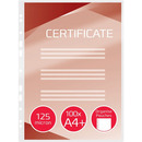 Folia do laminacji GBC A4+ z perforacj� 125mic (100szt) 3743156