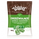 KARMELKI MIÊTOWE ORZE¬WIAJ¡CE 1 KG MIÊTOWE ORZE¯WIAJ¡CE