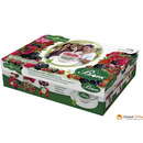 Herbata BIFIX kompozycja 6 smak&oacute;w owocowa 60kopert